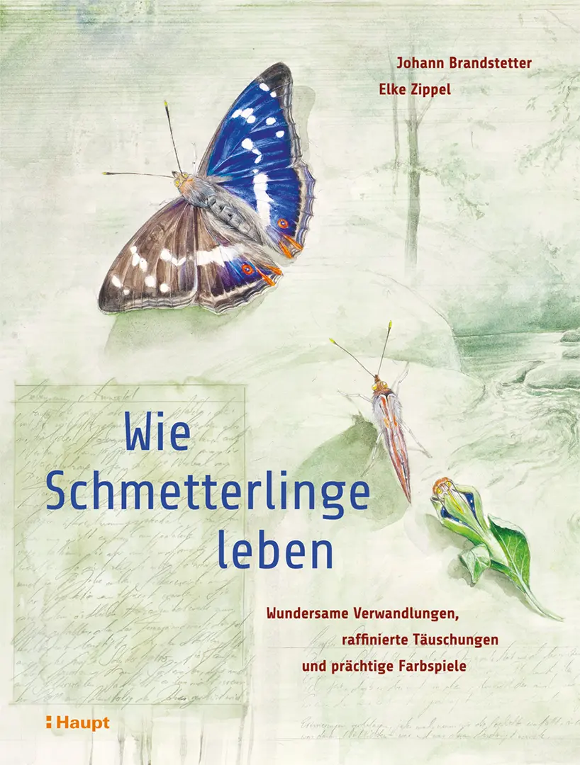 Vorderes Coverbild Wie Schmetterlinge leben