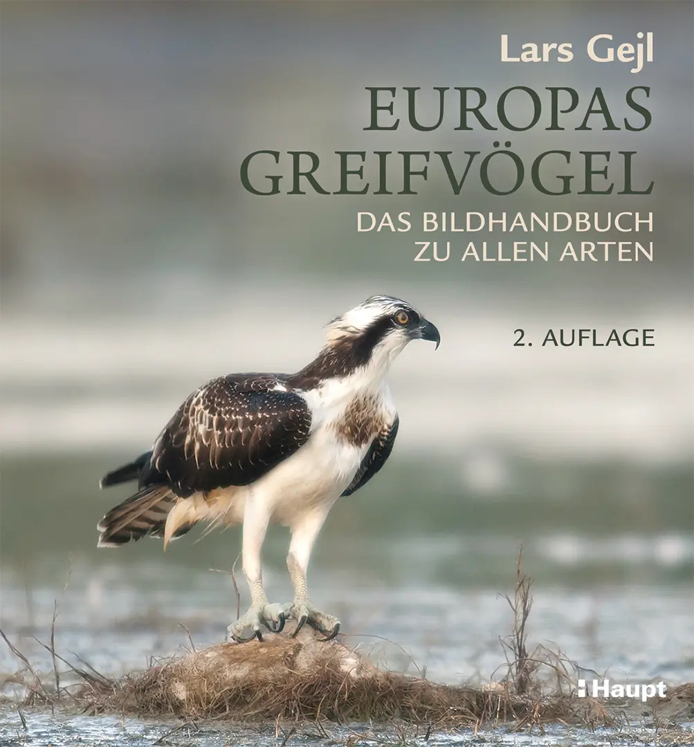 Vorderes Coverbild Europas Greifvögel
