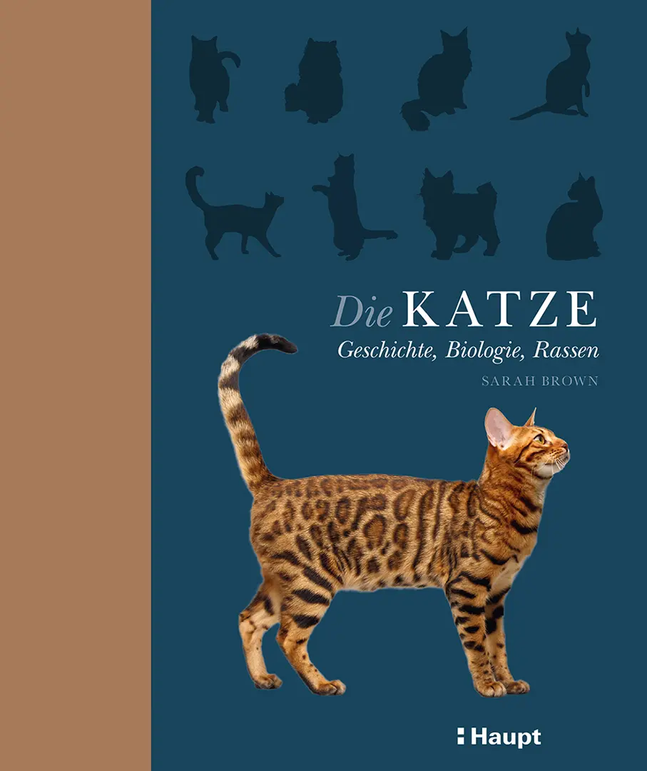 Vorderes Coverbild Die Katze