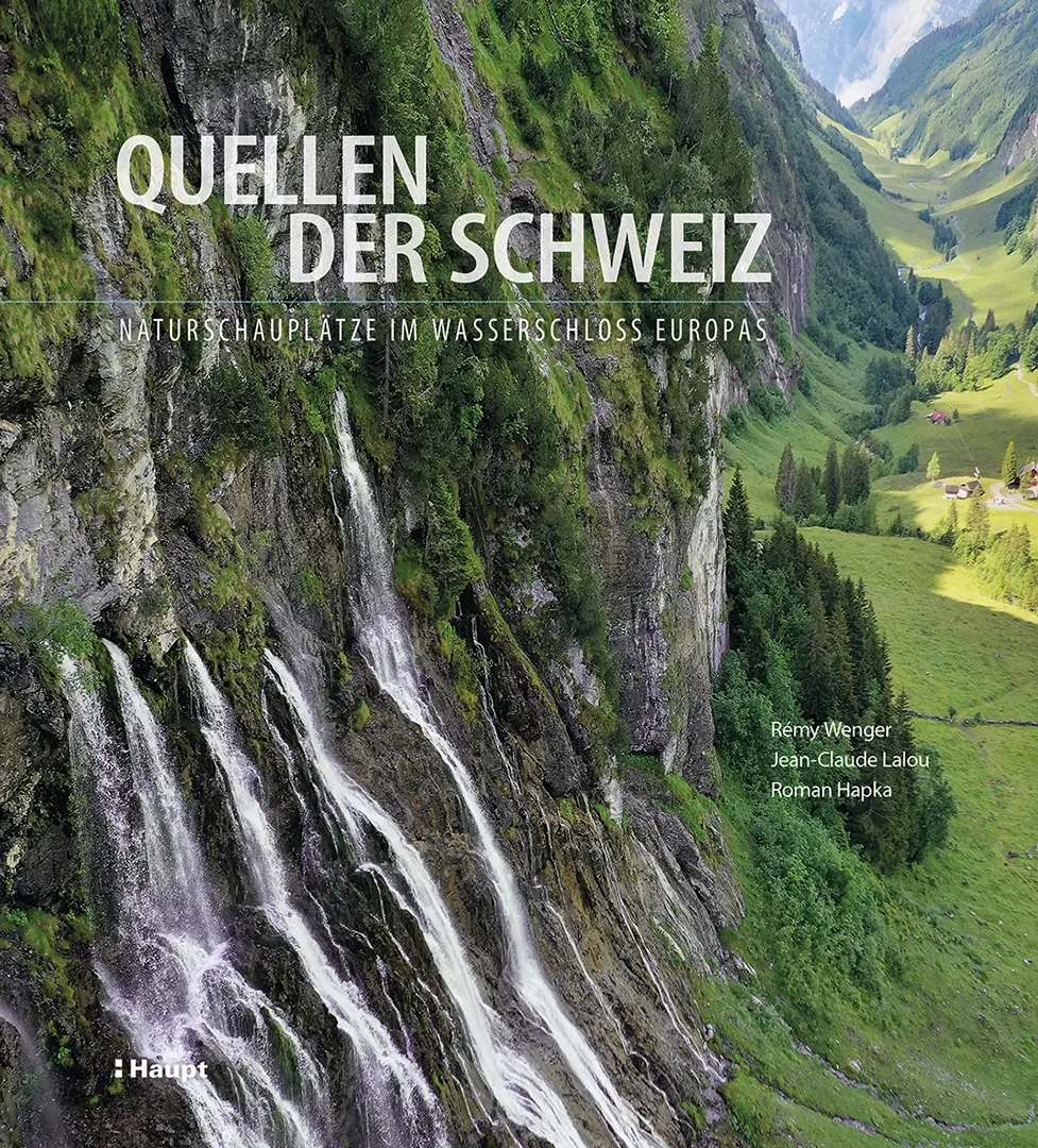Vorderes Coverbild Quellen der Schweiz