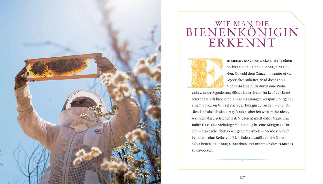 Beispielinhalt (Bild) Die Bienenkönigin