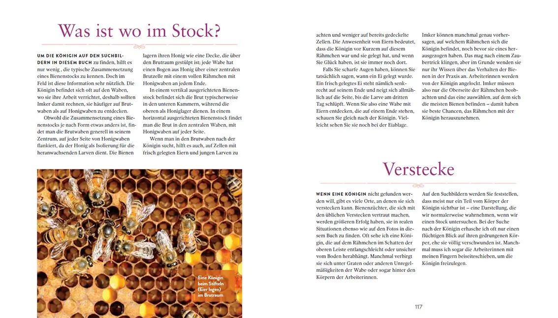 Beispielinhalt (Bild) Die Bienenkönigin