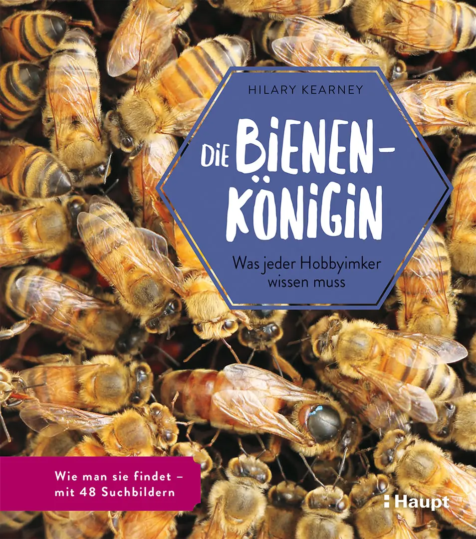 Vorderes Coverbild Die Bienenkönigin