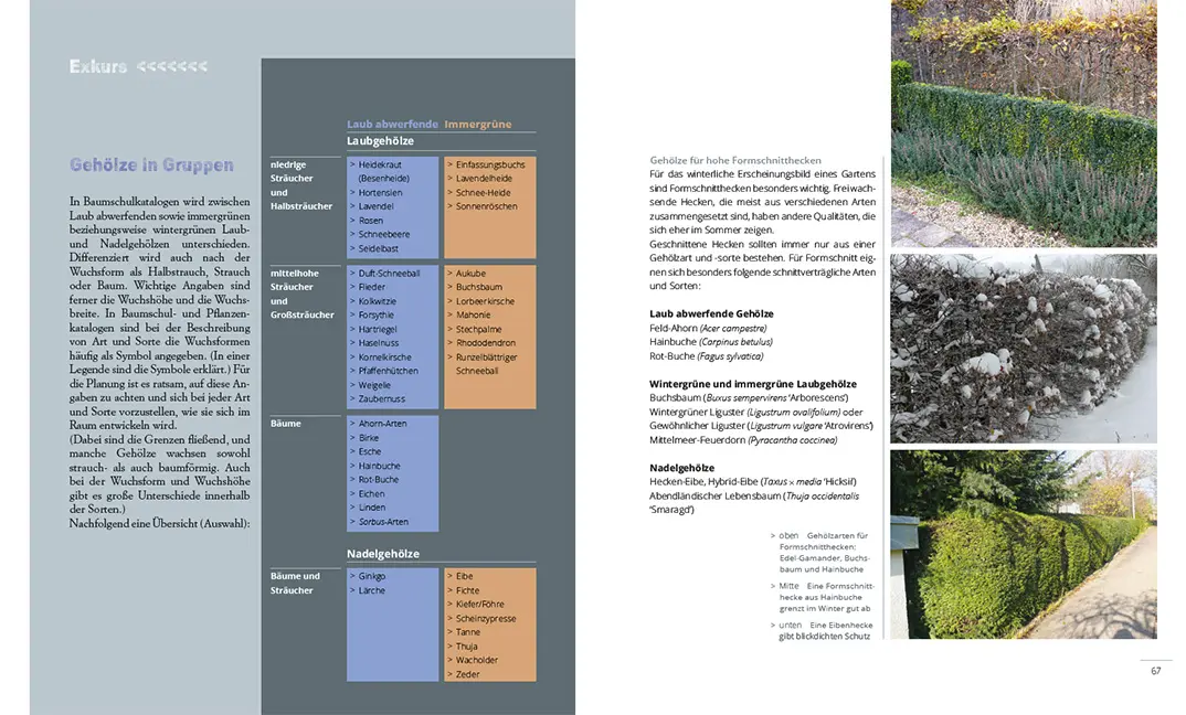 Beispielinhalt (Bild) Mein Garten im Winter