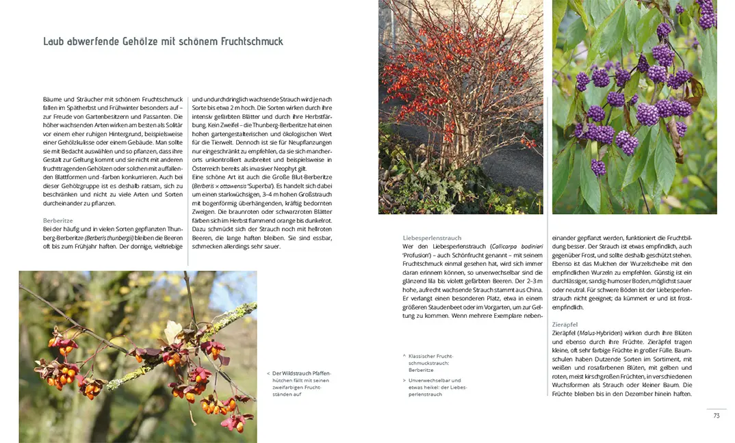 Beispielinhalt (Bild) Mein Garten im Winter