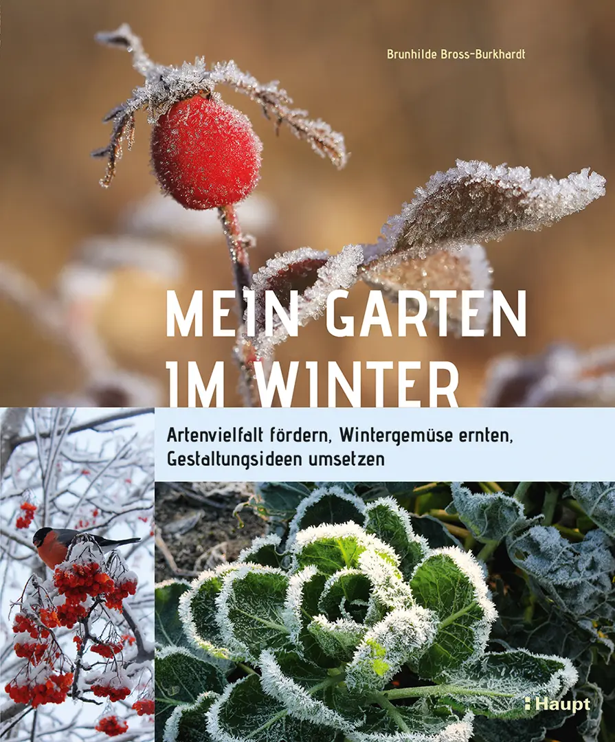 Vorderes Coverbild Mein Garten im Winter
