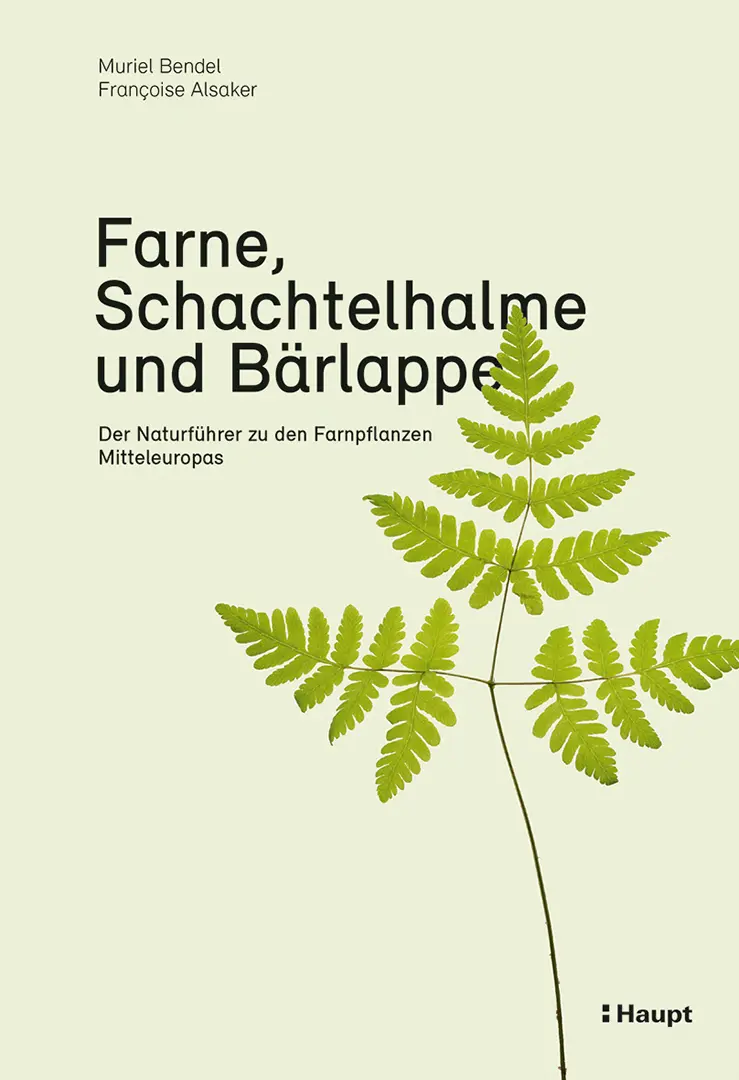 Vorderes Coverbild Farne, Schachtelhalme und Bärlappe