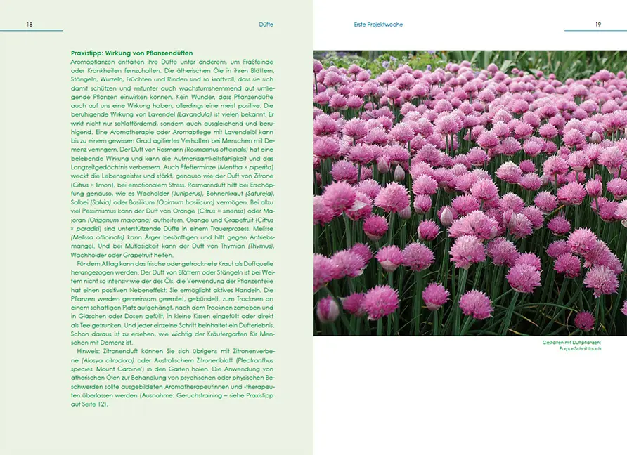 Beispielinhalt (Bild) Gartengestaltung für Menschen mit Demenz