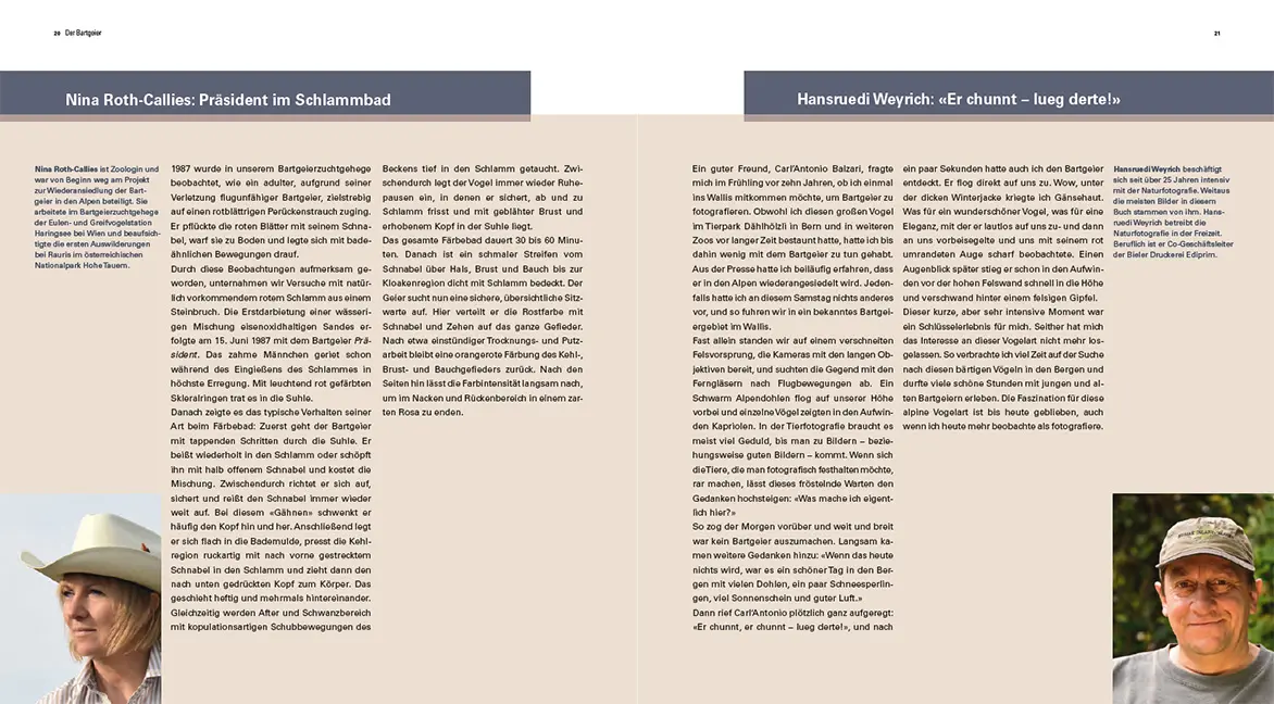 Beispielinhalt (Bild) Der Bartgeier