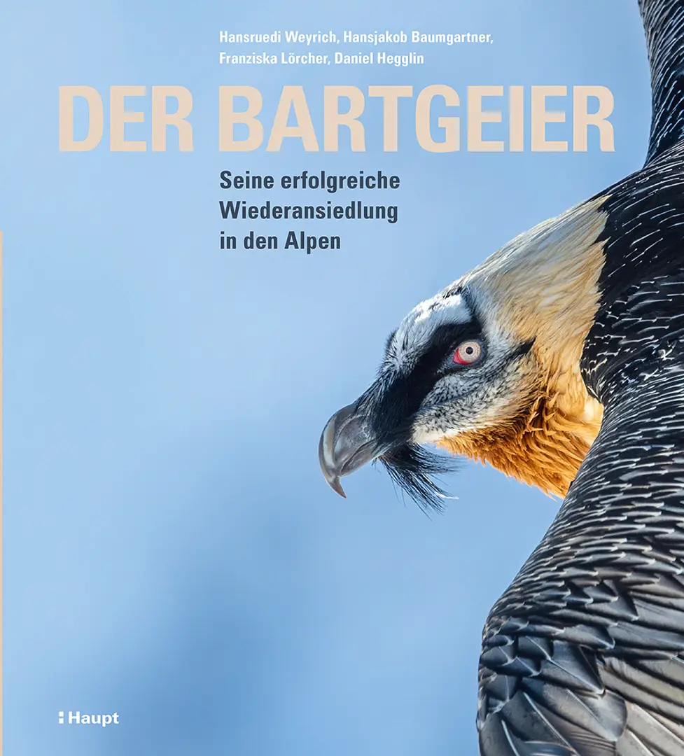 Vorderes Coverbild Der Bartgeier