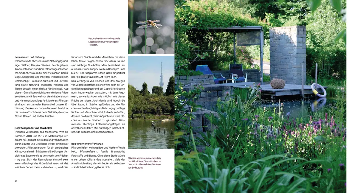 Beispielinhalt (Bild) Pflanzenkompositionen für den Naturgarten