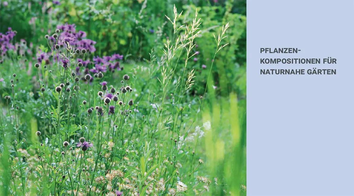 Beispielinhalt (Bild) Pflanzenkompositionen für den Naturgarten