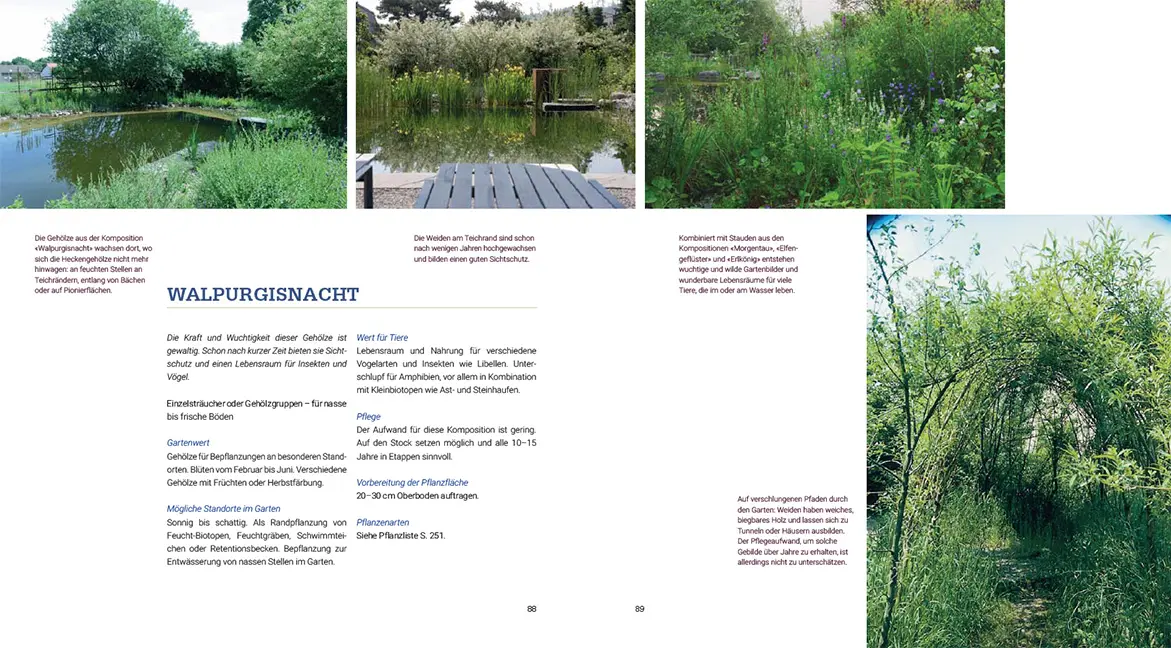 Beispielinhalt (Bild) Pflanzenkompositionen für den Naturgarten