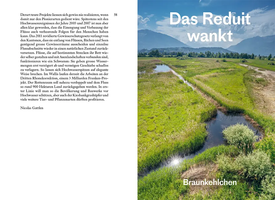 Beispielinhalt (Bild) Arten vor dem Aus