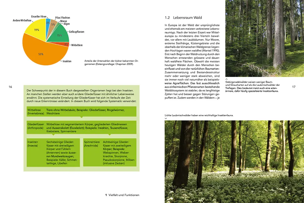Beispielinhalt (Bild) Insekten im Wald
