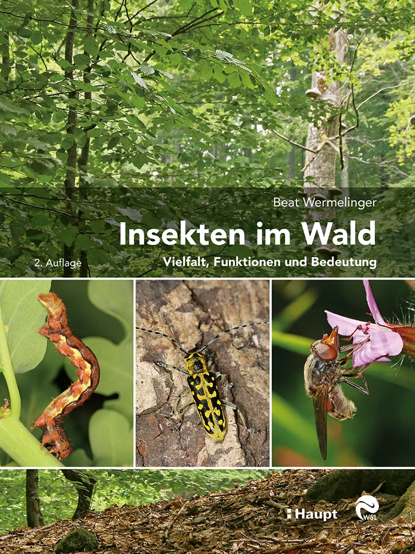Vorderes Coverbild Insekten im Wald