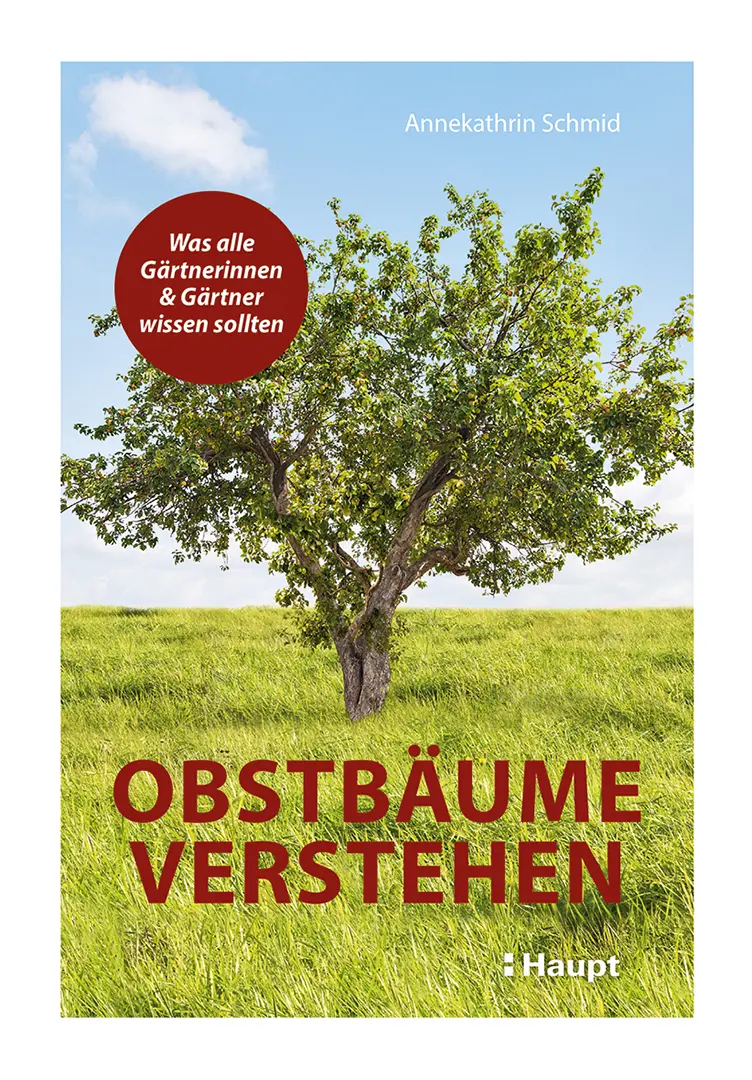 Vorderes Coverbild Obstbäume verstehen