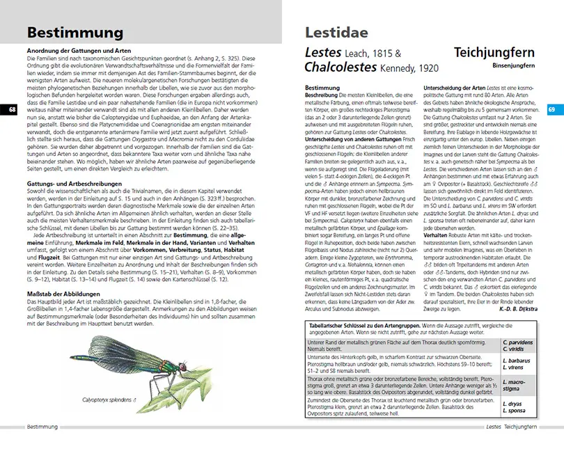Beispielinhalt (Bild) Libellen Europas