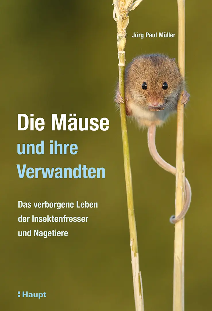 Vorderes Coverbild Die Mäuse und ihre Verwandten