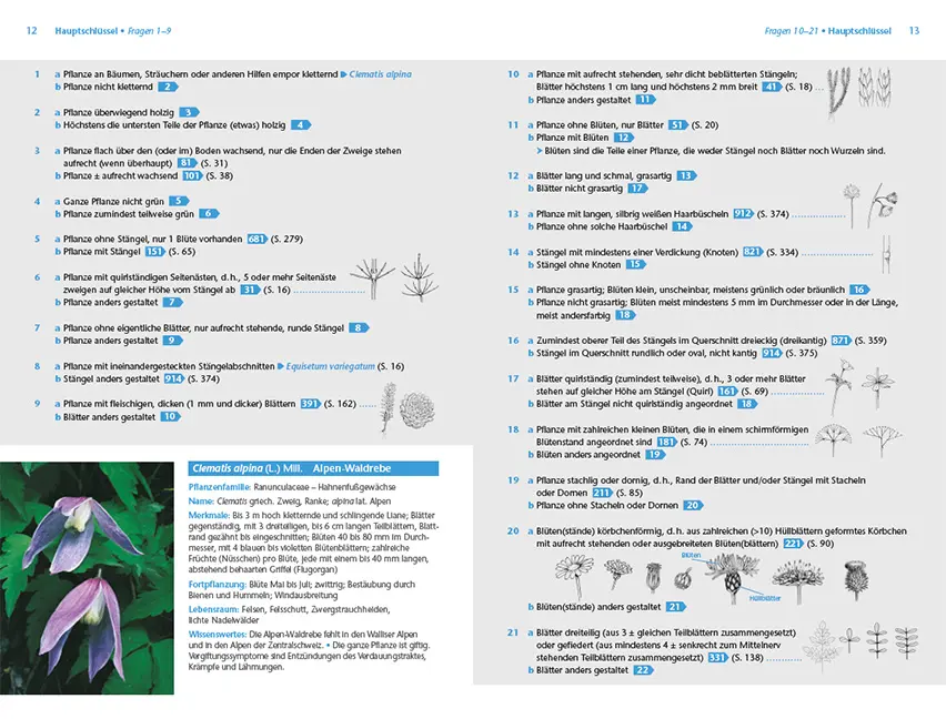 Beispielinhalt (Bild) Alpenpflanzen einfach bestimmen