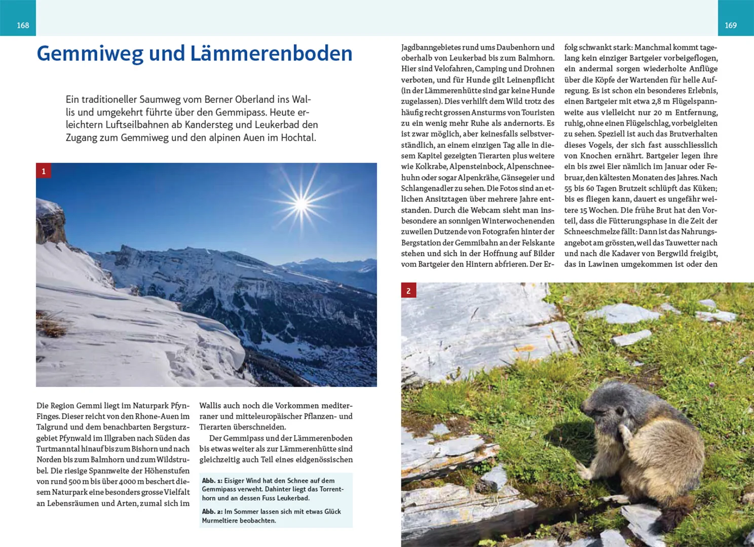 Beispielinhalt (Bild) An wilden Wassern und stillen Ufern