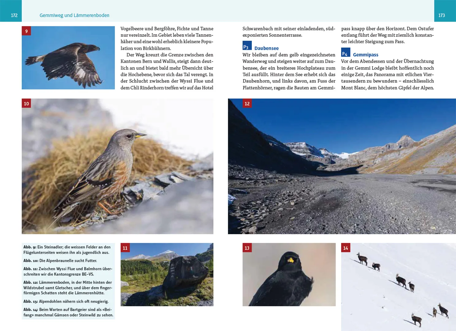 Beispielinhalt (Bild) An wilden Wassern und stillen Ufern