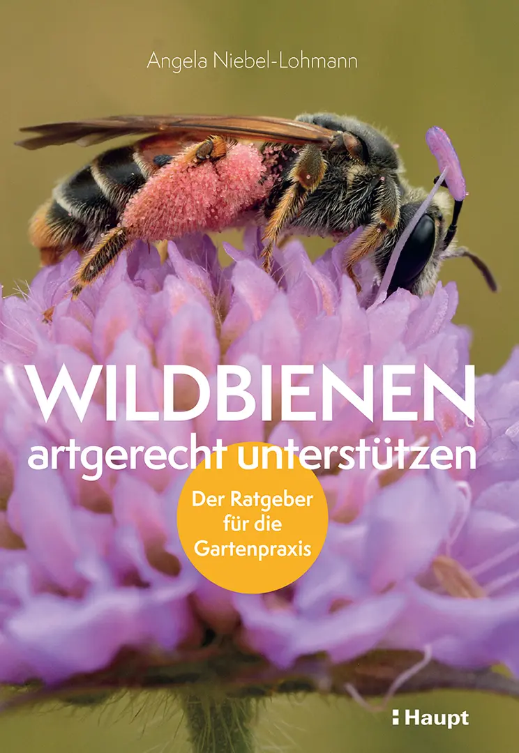 Vorderes Coverbild Wildbienen artgerecht unterstützen