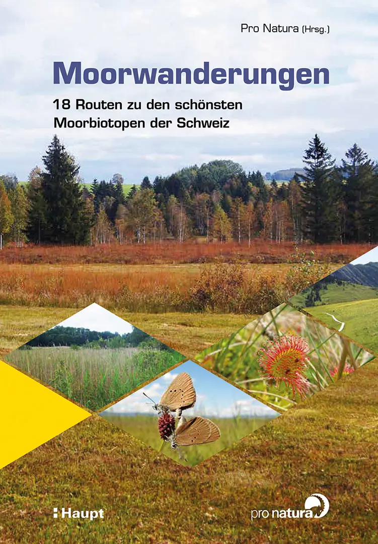 Vorderes Coverbild Moorwanderungen