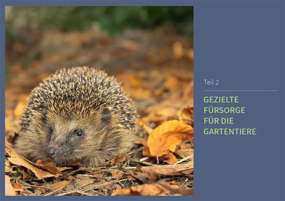 Beispielinhalt (Bild) Tiere in meinem Garten