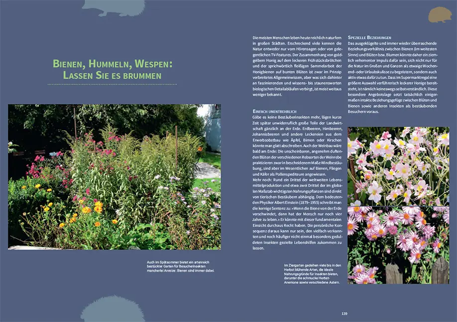 Beispielinhalt (Bild) Tiere in meinem Garten