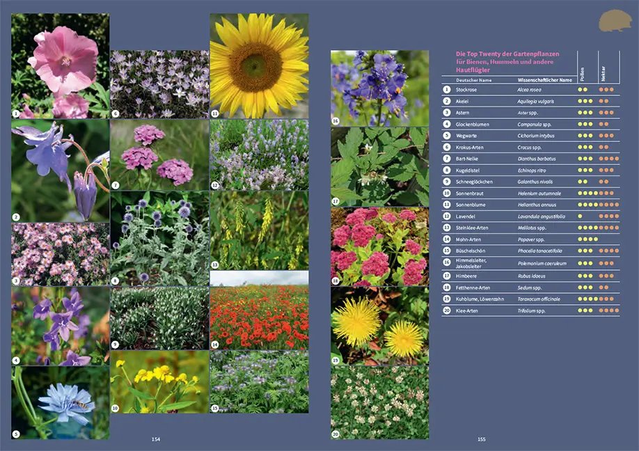 Beispielinhalt (Bild) Tiere in meinem Garten