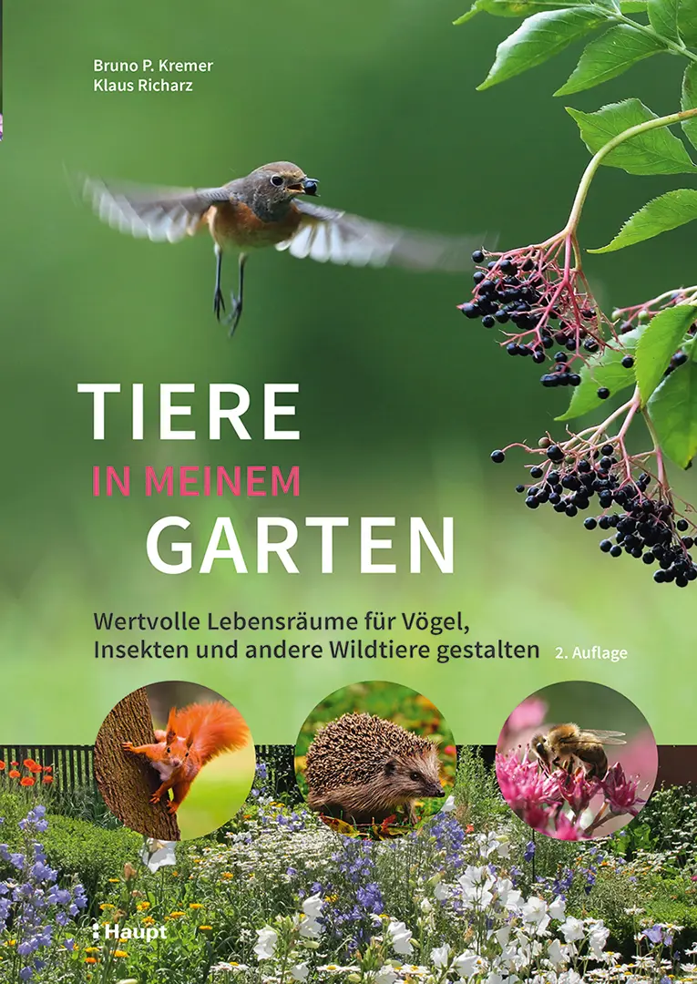 Vorderes Coverbild Tiere in meinem Garten