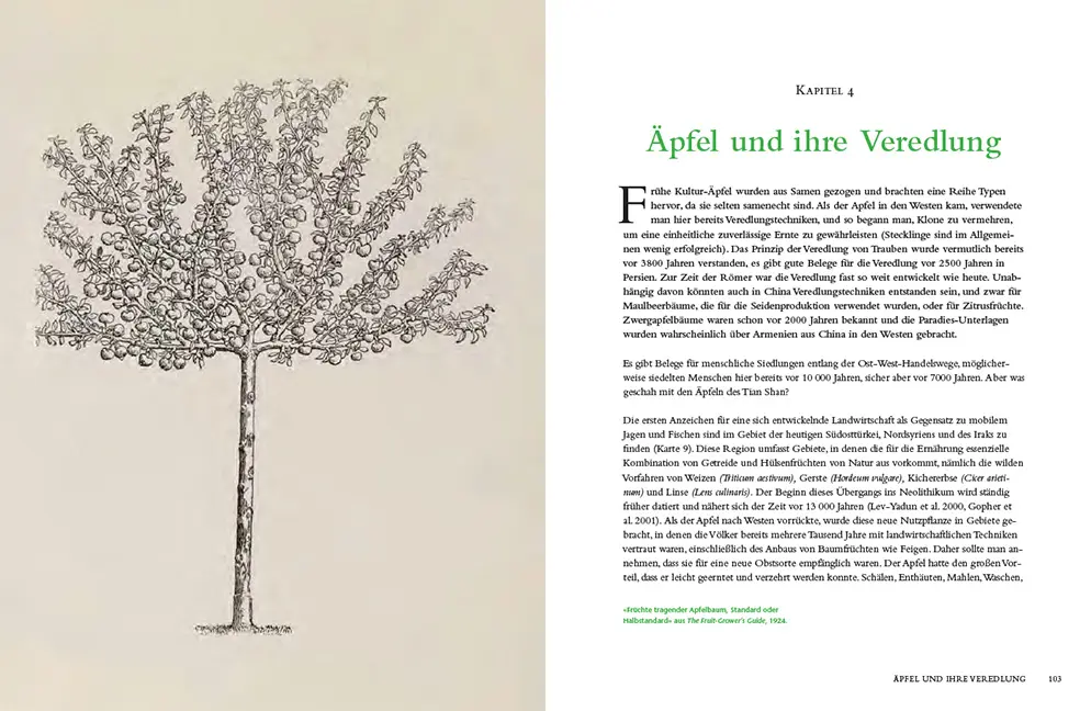 Beispielinhalt (Bild) Die Geschichte des Apfels