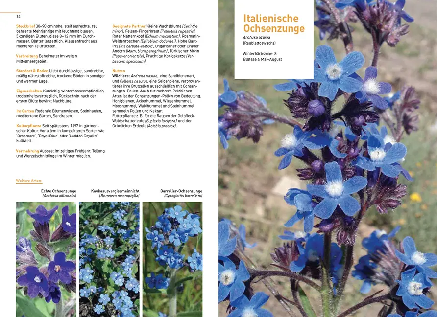 Beispielinhalt (Bild) Gärtnern im Klimawandel