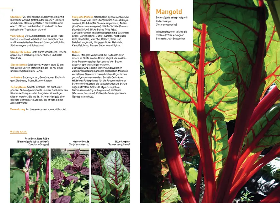 Beispielinhalt (Bild) Gärtnern im Klimawandel