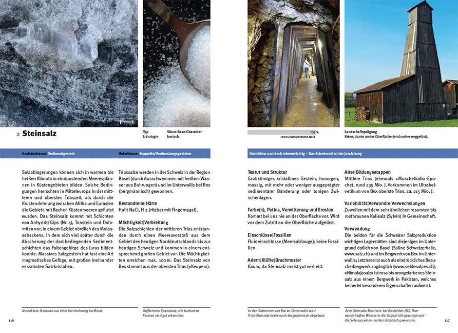 Beispielinhalt (Bild) Gesteine der Schweiz