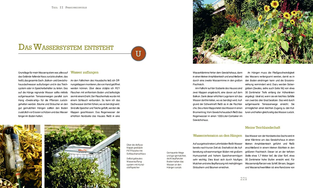 Beispielinhalt (Bild) Permakultur