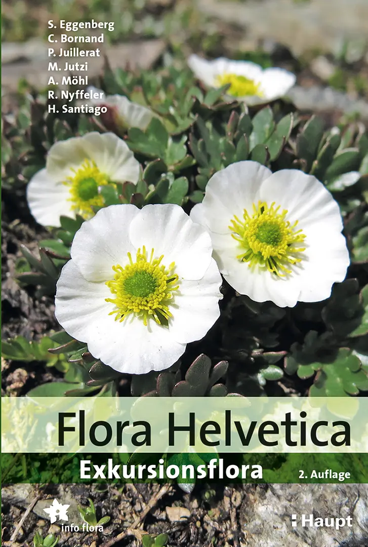 Vorderes Coverbild Flora Helvetica - Exkursionsflora