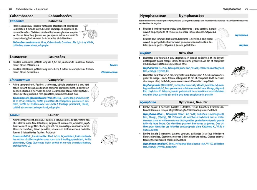 Beispielinhalt (Bild) Flora Helvetica - Flore d'excursion