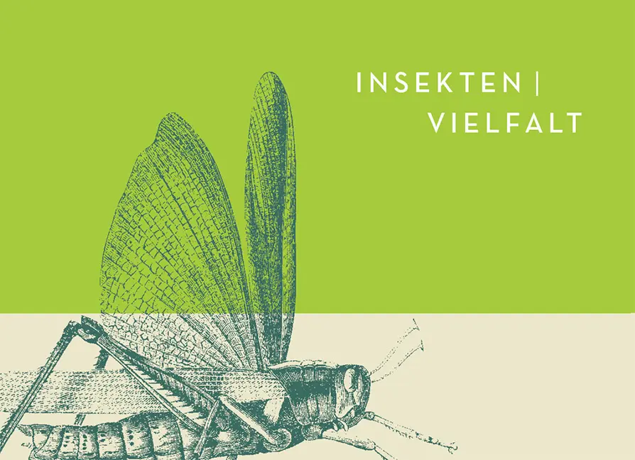 Beispielinhalt (Bild) Facettenreiche Insekten