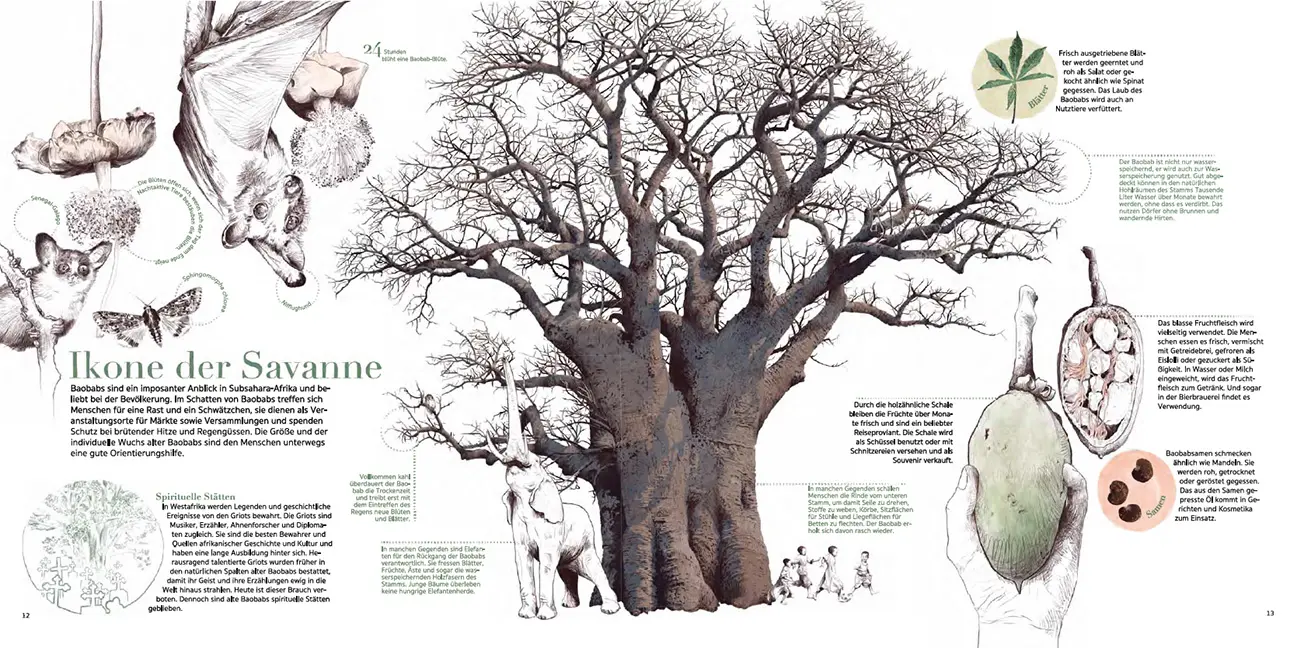 Beispielinhalt (Bild) Afrika!