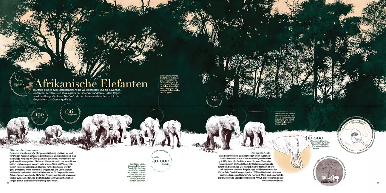 Beispielinhalt (Bild) Afrika!