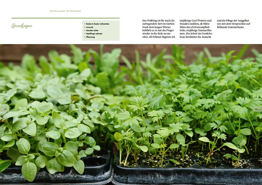 Beispielinhalt (Bild) Slowflowers