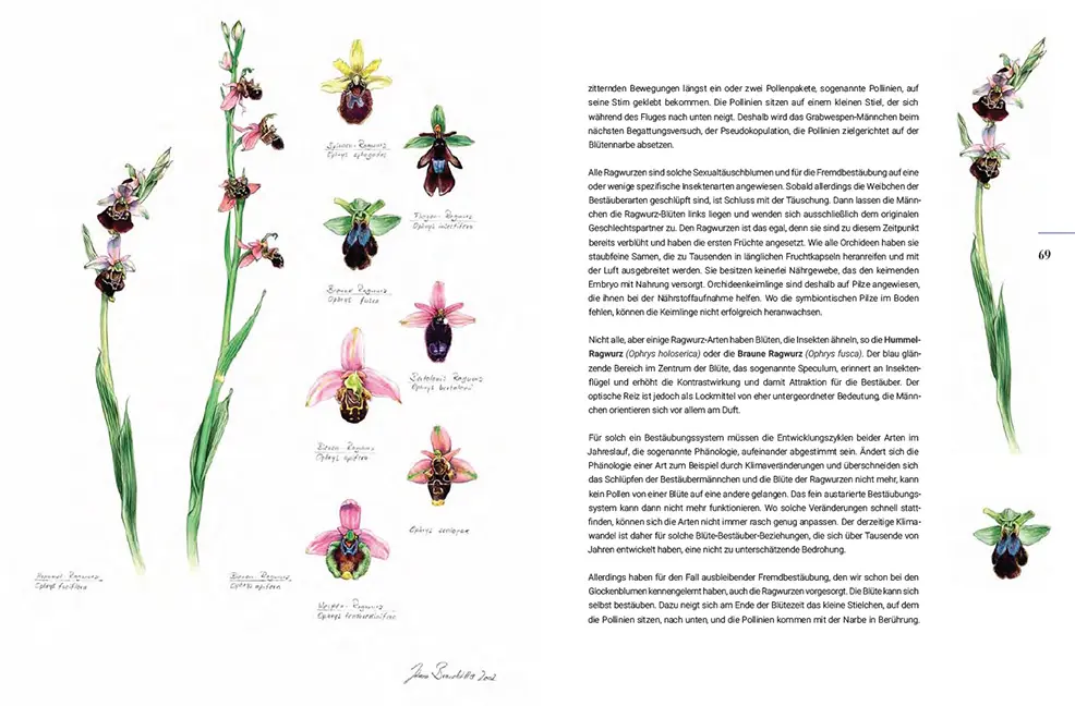 Beispielinhalt (Bild) Miteinander