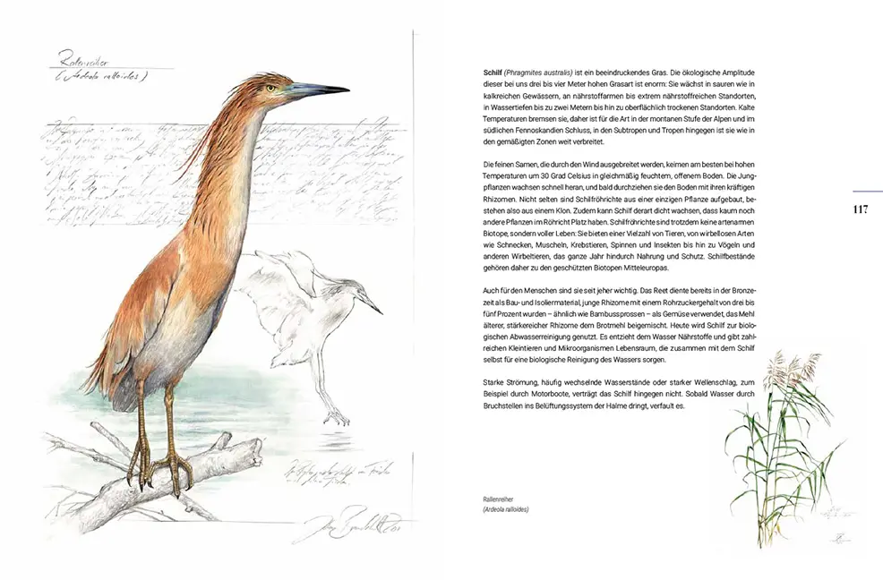 Beispielinhalt (Bild) Miteinander