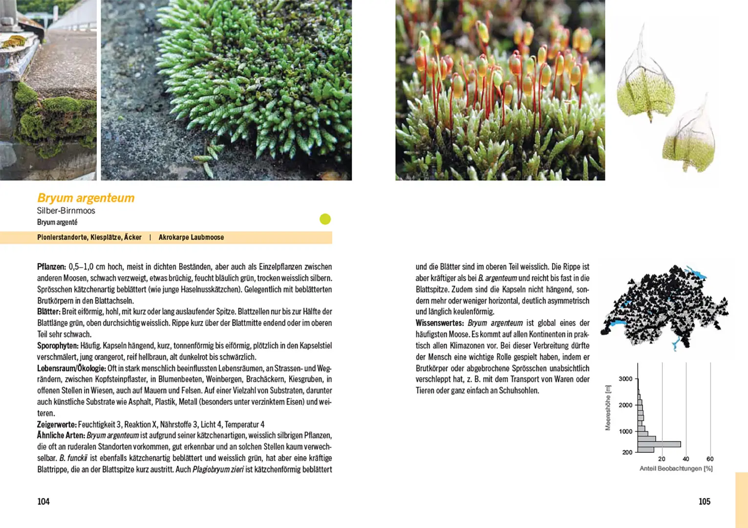 Beispielinhalt (Bild) Moose der Schweiz