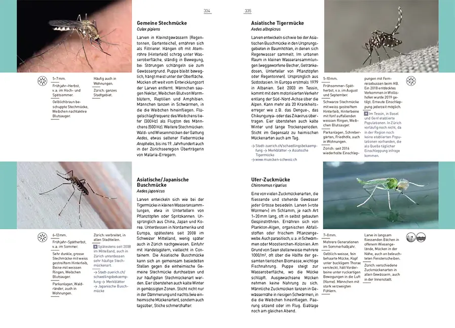 Beispielinhalt (Bild) Neue Stadtfauna