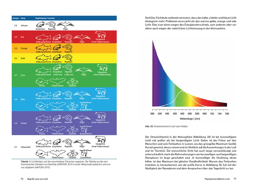 Beispielinhalt (Bild) Mein Haus, mein Licht, unsere Umwelt