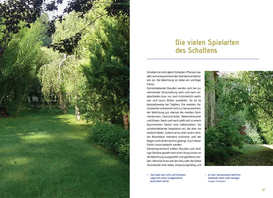 Beispielinhalt (Bild) Mein Gartenbaum - klimarobust und klimaschützend