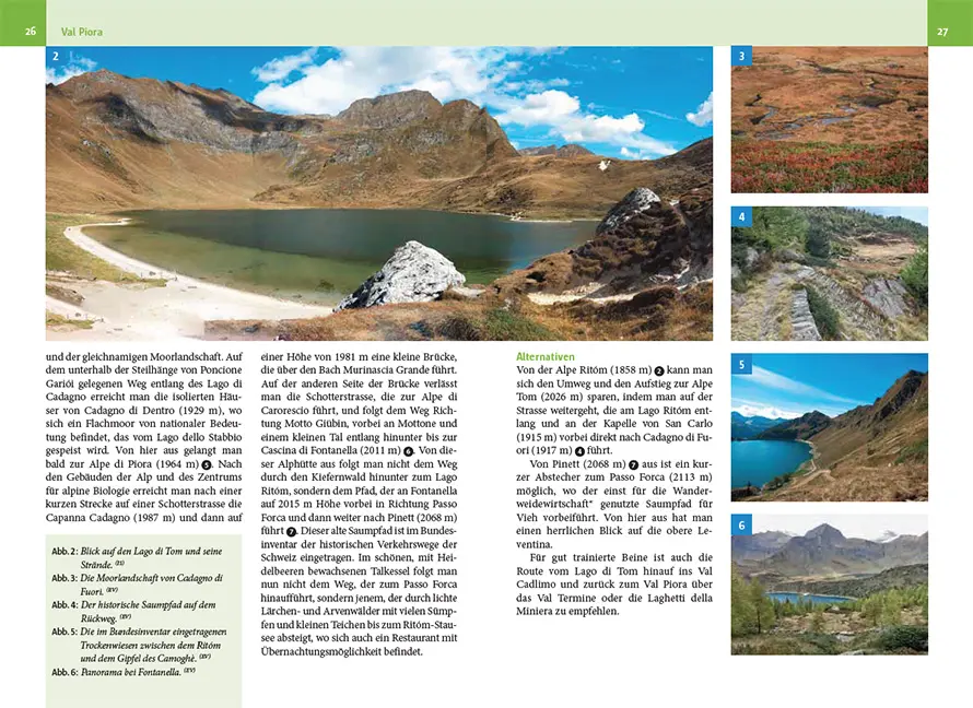 Beispielinhalt (Bild) Naturwanderungen im Tessin